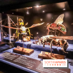 Poison au Palais de la Découverte, les photos 