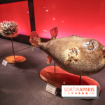 Poison au Palais de la Découverte, les photos 