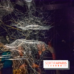 Carte Blanche à Tomas Saraceno au Palais de Tokyo