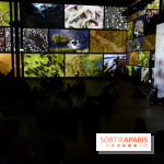 Terra Magnifica à L'Atelier des Lumières