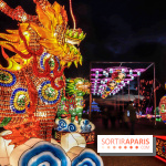 Thoiry Lumières Sauvages,lions