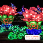 Thoiry Lumières Sauvages, les photos