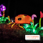 Thoiry Lumières Sauvages, les photos