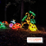 Thoiry Lumières Sauvages, les photos