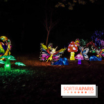 Thoiry Lumières Sauvages, les photos