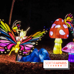 Thoiry Lumières Sauvages, les photos