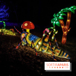 Thoiry Lumières Sauvages, les photos