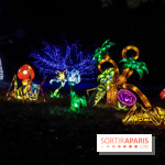 Thoiry Lumières Sauvages, les photos