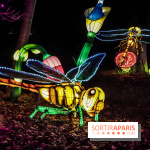 Thoiry Lumières Sauvages, les photos