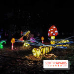 Thoiry Lumières Sauvages, les photos