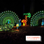 Thoiry Lumières Sauvages, les photos