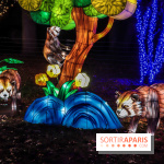 Thoiry Lumières Sauvages, les photos