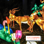 Thoiry Lumières Sauvages, les photos