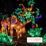 Thoiry Lumières Sauvages, les photos