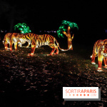 Thoiry Lumières Sauvages, les photos