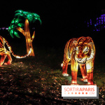 Thoiry Lumières Sauvages, les photos