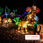 Thoiry Lumières Sauvages, les photos