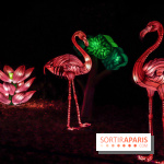 Thoiry Lumières Sauvages, les photos