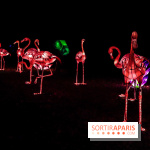 Thoiry Lumières Sauvages, les photos