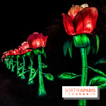 Thoiry Lumières Sauvages, les photos