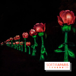 Thoiry Lumières Sauvages, les photos