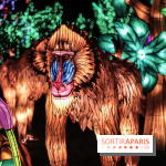 Thoiry Lumières Sauvages, les photos