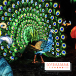 Thoiry Lumières Sauvages, les photos