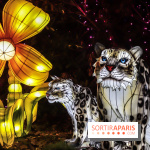 Thoiry Lumières Sauvages, les photos