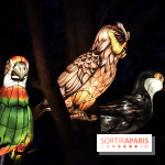 Thoiry Lumières Sauvages, les photos