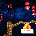 Thoiry Lumières Sauvages, les photos