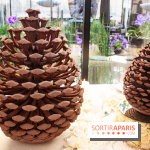 Bûche de Noël 2018 de Maxime Frédéric pour le George V