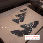 Les trésors de Kyoto au Musée Cernuschi