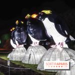 Festival de Lumières au Jardin des Plantes : Espèces en voie d’illumination