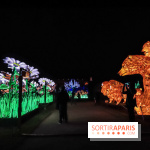 Festival de Lumières au Jardin des Plantes : Espèces en voie d’illumination