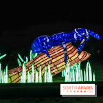 Festival de Lumières au Jardin des Plantes : Espèces en voie d’illumination