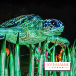 Festival de Lumières au Jardin des Plantes : Espèces en voie d’illumination - tortues