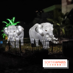 Festival de Lumières au Jardin des Plantes : Espèces en voie d’illumination