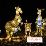 Festival de Lumières au Jardin des Plantes : Espèces en voie d’illumination