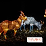 Festival de Lumières au Jardin des Plantes : Espèces en voie d’illumination