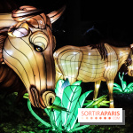 Festival de Lumières au Jardin des Plantes : Espèces en voie d’illumination