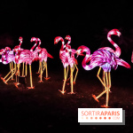 Festival de Lumières au Jardin des Plantes : Espèces en voie d’illumination