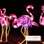 Festival de Lumières au Jardin des Plantes : Espèces en voie d’illumination