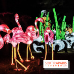 Festival de Lumières au Jardin des Plantes : Espèces en voie d’illumination