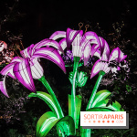 Festival de Lumières au Jardin des Plantes : Espèces en voie d’illumination