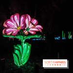 Festival de Lumières au Jardin des Plantes : Espèces en voie d’illumination