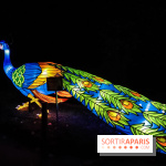 Festival de Lumières au Jardin des Plantes : Espèces en voie d’illumination