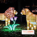 Festival de Lumières au Jardin des Plantes : Espèces en voie d’illumination