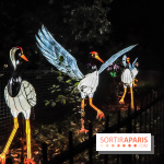 Festival de Lumières au Jardin des Plantes : Espèces en voie d’illumination