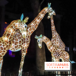 Festival de Lumières au Jardin des Plantes : Espèces en voie d’illumination