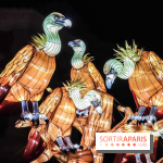 Festival de Lumières au Jardin des Plantes : Espèces en voie d’illumination